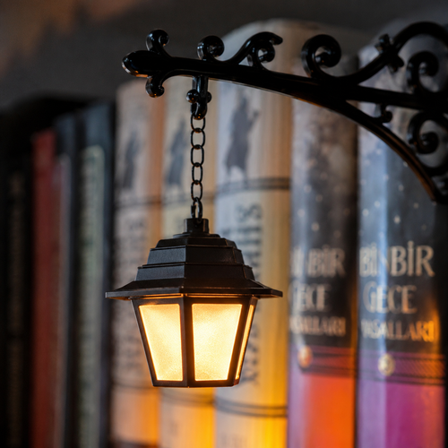 Bookshelf Latern